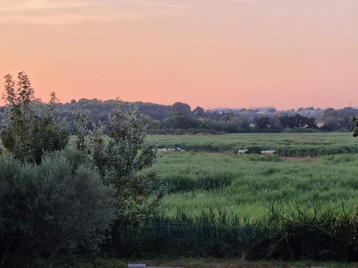 Gites De L'Estagnol Villeneuve-lès-Maguelonne Buitenkant foto