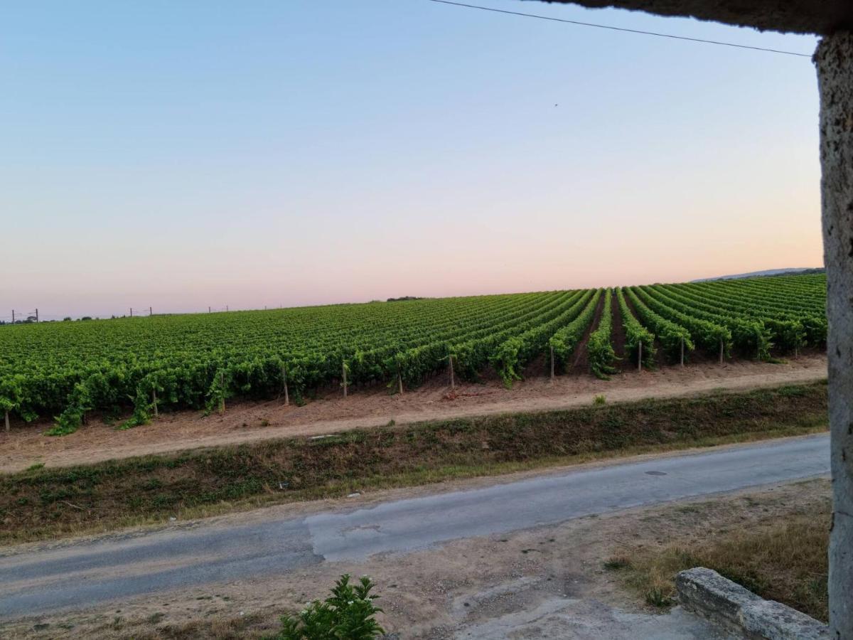 Gites De L'Estagnol Villeneuve-lès-Maguelonne Buitenkant foto